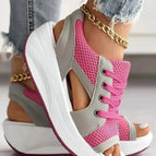 Hot Pink / 5