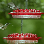 Tuzwa Ant-Proof Hummingbird Feeder – Outdoor Nectar Bird Feeder with Built-In Perch & Easy-Fill Design
