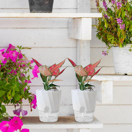 Indoor Planter with Self Watering Reservoir, Succulent Pot – image 10