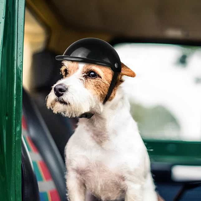 Dog Helmet with Goggles, Cat Motorcycle Helmet for Riding