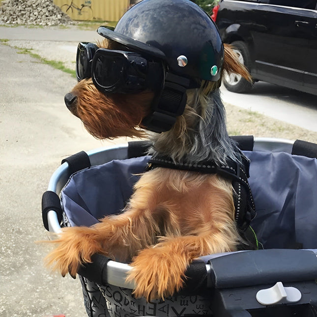 Dog Motorcycle Helmet and Goggles for Small and Medium Dogs