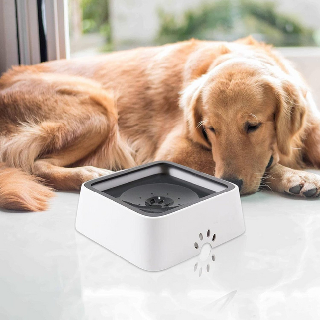 Dog Bowls, No Spill Dog Water Bowl for Large Dogs