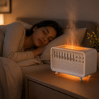 White Noise Machine, Cool Mist Humidifier for Bedroom, Sound Machine for Sleeping, Essential Oil Diffuser