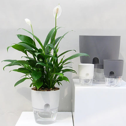 Indoor Planter with Self Watering Reservoir, Self Watering Planter Pot for Indoor Plants, Modern Plastic Flower Pot,