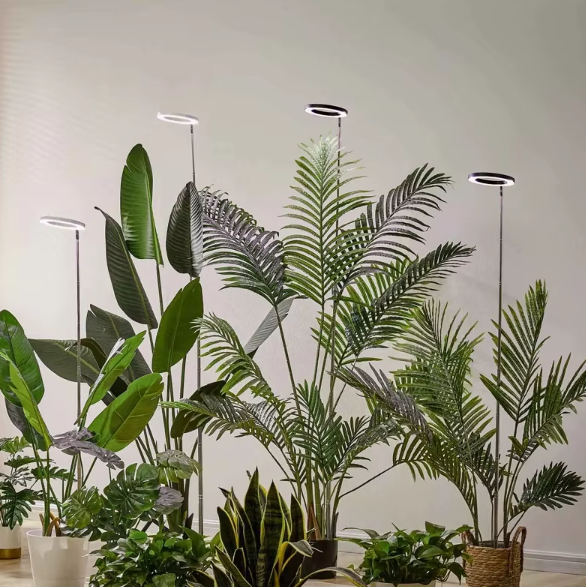 Indoor Plant Grow Light, Full Spectrum LED Grow Light with Timer and Dimmer, Grow Lamp for Succulents