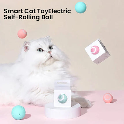 Interactive Cat Toys for Indoor Cats – image 8