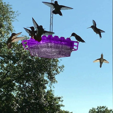 Ant Proof Hummingbird Feeder with Ant Moat, Hanging Bird Feeder for Outdoor