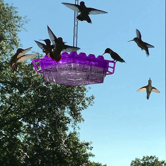 Tuzwa Ant-Proof Hummingbird Feeder – Outdoor Nectar Bird Feeder with Built-In Perch & Easy-Fill Design