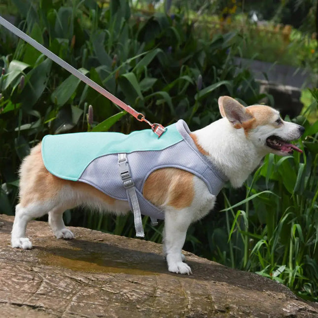 Cooling Jacket for Dogs – image 5