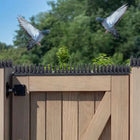 Bird Spikes for Outdoor Roof and Fence, Stainless Steel Bird Control Spikes, 10 Pack Pigeon Spikes for Ledges and Sills