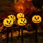 5X Small Pumpkin