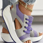 Purple / 5