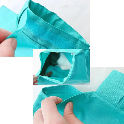 Soft Sided Pet Carrier for Cats, Mesh Ventilation