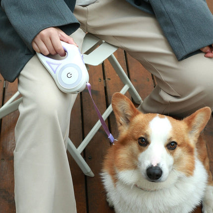 Retractable Dog Leash with Light, Retractable Leash for Small Dogs – image 6