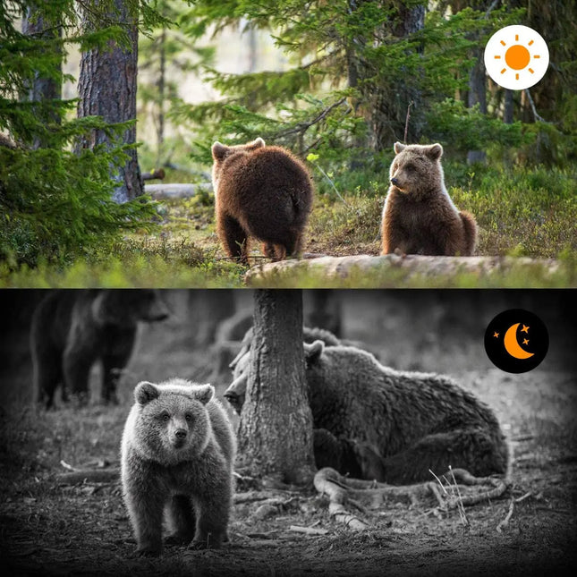Night Vision Trail Camera, Weatherproof Wildlife Camera for Property Security