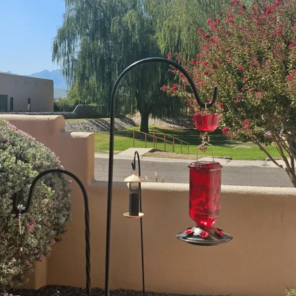 Hummingbird Feeder 24 oz, Glass Hummingbird Feeder with Ant Moat