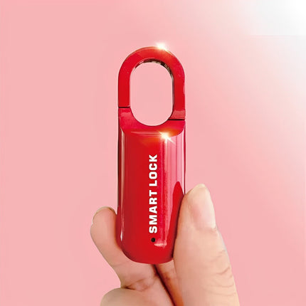 Padlock with Fingerprint Unlock