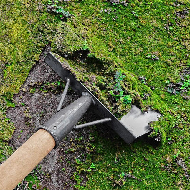 Floor Scraper with Adjustable Handle, Steel Weeding Tool