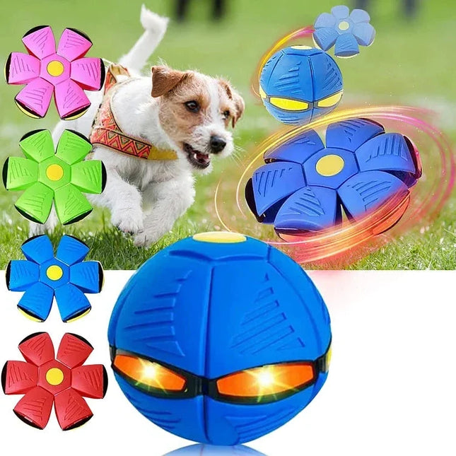 Interactive Dog Toys, Durable Dog Toy Ball for Catch Games