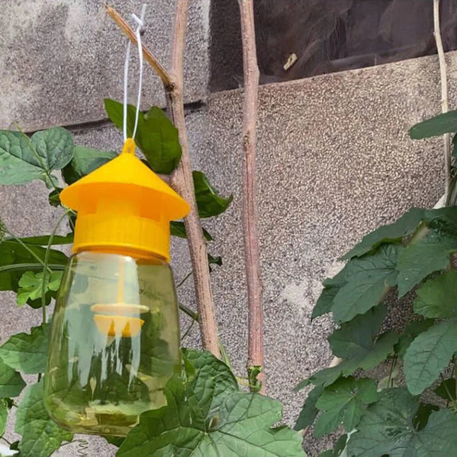 Hanging Fruit Fly Catcher with Natural Lure