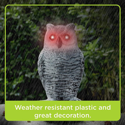 Squirrel Repellent Owl Decoy with Rotating Head, Realistic Fake Owl