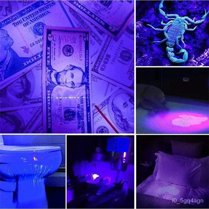 UV Flashlight Black Light, 100 LED 395nm Ultraviolet Blacklight Torch for Bed Bug Detection, Pet Urine Stain Finder and Scorpion Hunting