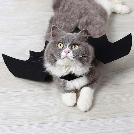 Dog Halloween Costume Bat Wings, Cat Costume with Adjustable Velcro Straps, Black Felt Bat Costume, Dog Halloween Outfit