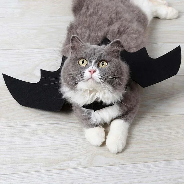 Dog Halloween Costume Bat Wings, Cat Costume with Adjustable Velcro Straps, Black Felt Bat Costume, Dog Halloween Outfit