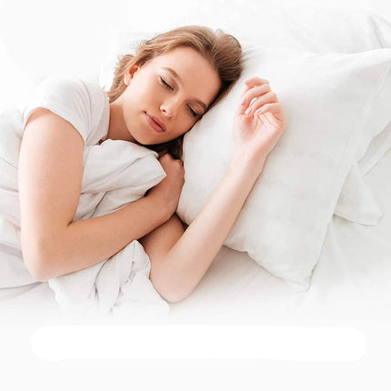 Waterproof Zippered Pillowcase Protector for Standard Pillows, Machine Washable Cover, 19.6 x 27.5 Inches