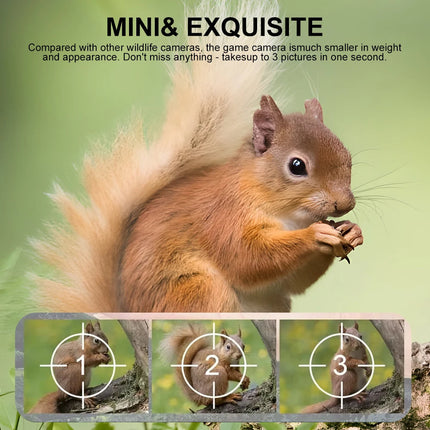 Trail Camera with Infrared Night Vision, Waterproof Camera for Wildlife with Camouflage Design