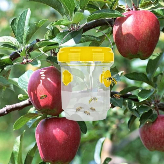 Fruit Fly Traps, Indoor Fly Trap for Kitchen, Non Toxic Moth Traps, Fruit Fly Catcher for Home and Patio