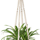 Macrame Plant Hanger, Indoor Hanging Planter, Outdoor Plant Hanger with Cotton Rope, Boho Decor Housewarming Gift