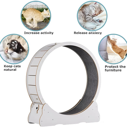 Cat Wheel for Indoor Cats, Cat Exercise Wheel with Cushioned Track