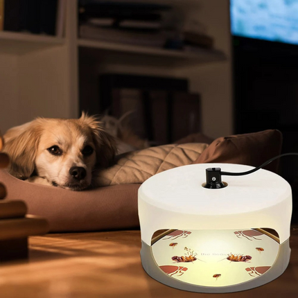 Bed Bug Trap, Bed Bug Catcher and Monitor for Crawling Insects – image 5
