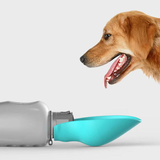 Portable Dog Water Bottle for Walking, Pet Water Bottle with Collapsible Bowl, Leakproof Travel Dog Water Flask