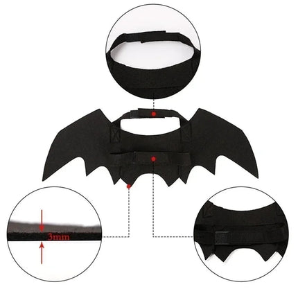 Cat Costume with Adjustable Velcro Straps – image 4