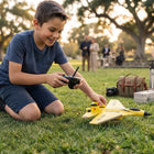 RC Plane for Beginners, 2.4GHz Remote Control Airplane with Foam Body, RC Fighter Jet Toy Airplane for Kids and Adults