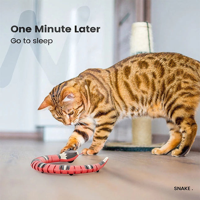 Interactive Cat Toys, Snake Toy for Cats with Infrared Sensors and Flashing Eyes