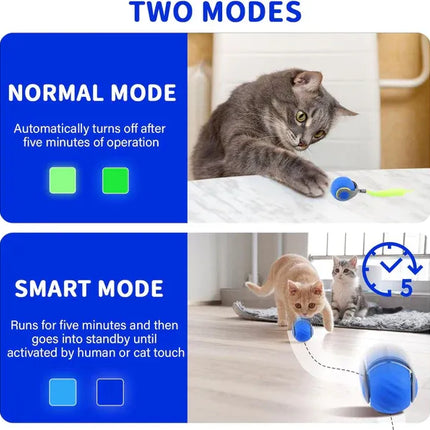 Interactive Cat Toys, Silicone Cat Toy Ball with Wave Texture – image 7