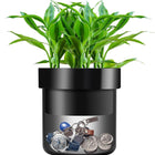 Lock Box with Key Hidden in a Flower Pot, Diversion Safe with Steel Chamber and 2 Keys