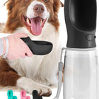 Dog Water Bottle 19 oz, Portable Dog Water Bottle with Bowl, Leak Proof Travel Dog Water Bottle for Walking and Hiking