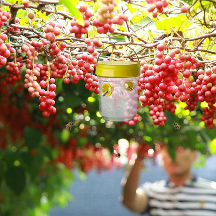 Fruit Fly Traps – image 4