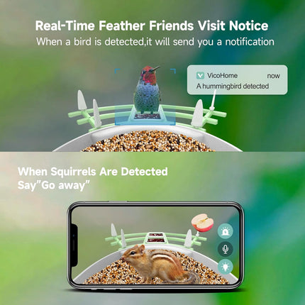 Bird Feeder with Camera, Solar Bird Feeder with Night Vision
