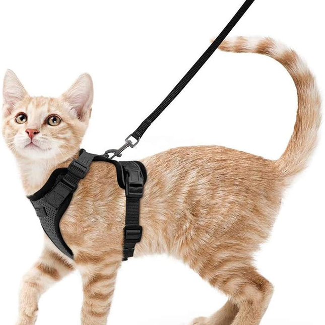 Cat Harness and Leash Set, Escape Proof Cat Harness for Walks with Mesh Vest, Nylon Cat Leash with Swivel Clip