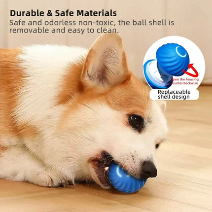 Interactive Dog Toy Rolling Ball – image 3