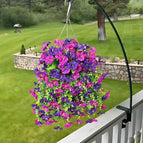 Pink/Purple / 2
