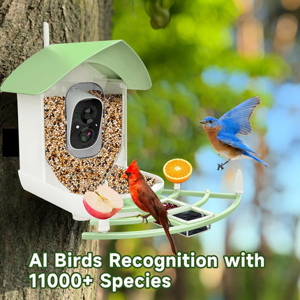 Bird Feeder with Camera, Solar Bird Feeder with Night Vision – image 5