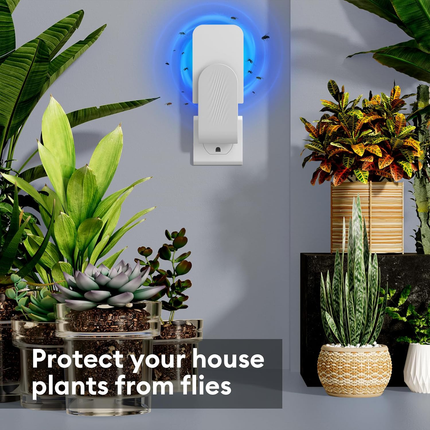 Fruit Fly Trap, Gnat Trap for Mosquitoes and Moths
