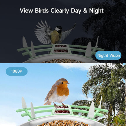 Bird Feeder with Camera, Smart Bird Feeder Camera with AI Species Recognition – image 4