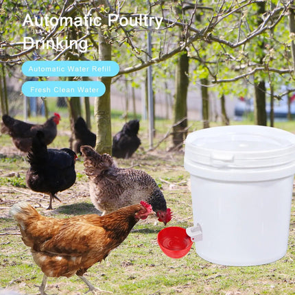 Chicken Waterer Cups 10 Pack, Poultry Waterer for Ducks
